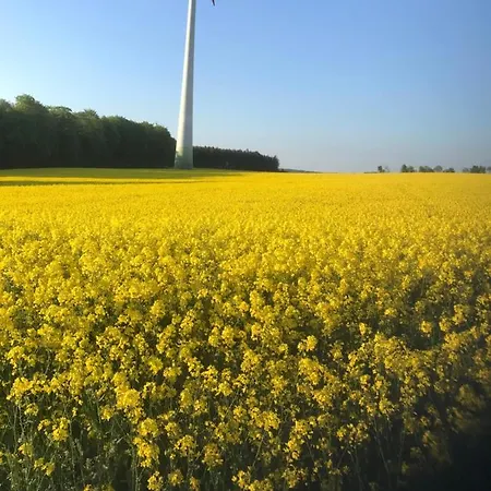 Am Reitersgaesschen アパート Blankenrath