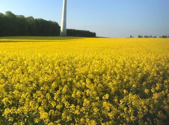 Am Reitersgaesschen Apartamento Blankenrath